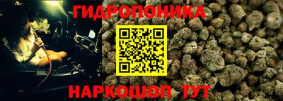 шишки Донецк