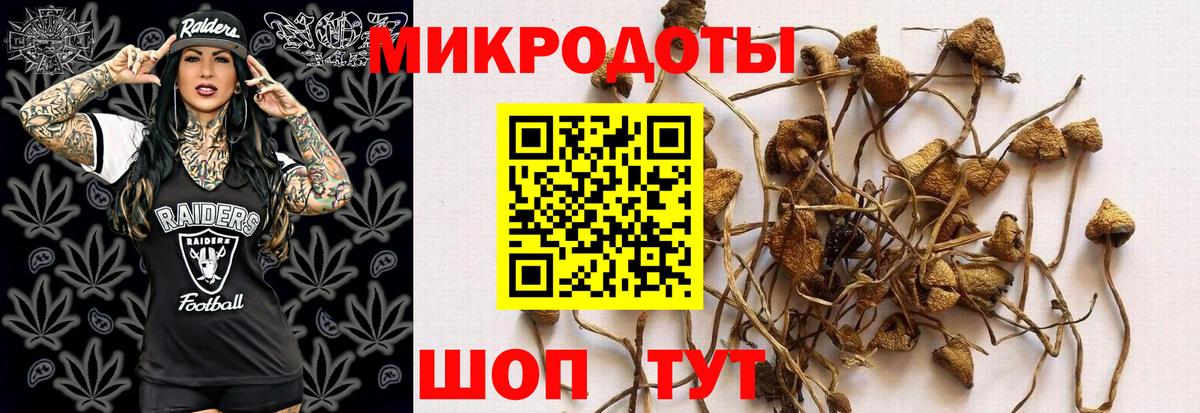 Галлюциногенные грибы GOLDEN TEACHER  Вход с VPN  Менделеевск 